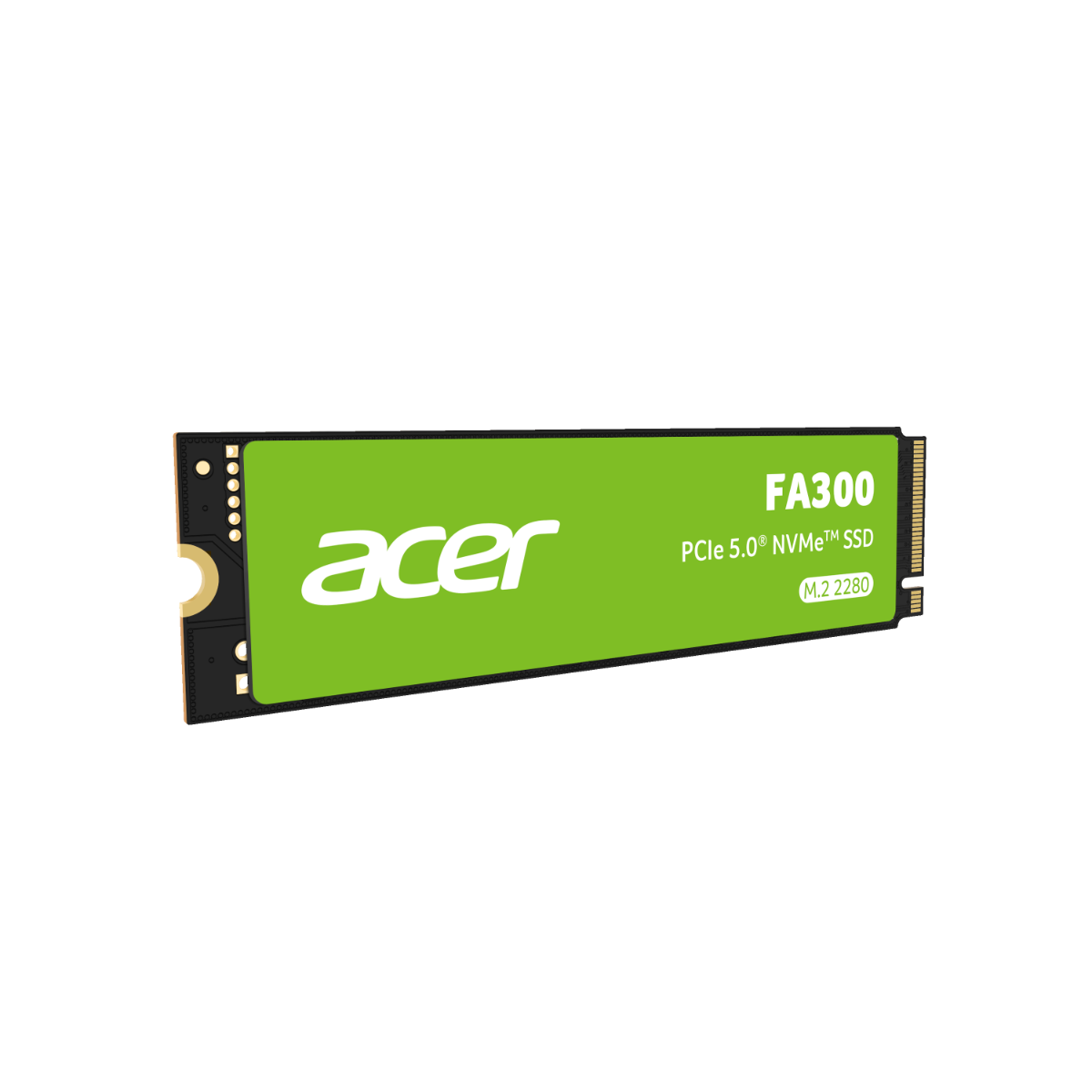 Acer FA300 Gen5 SSD - 1TB
