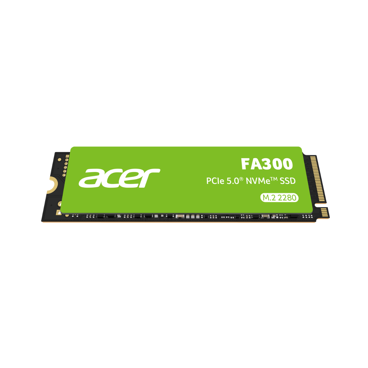 Acer FA300 Gen5 SSD - 1TB
