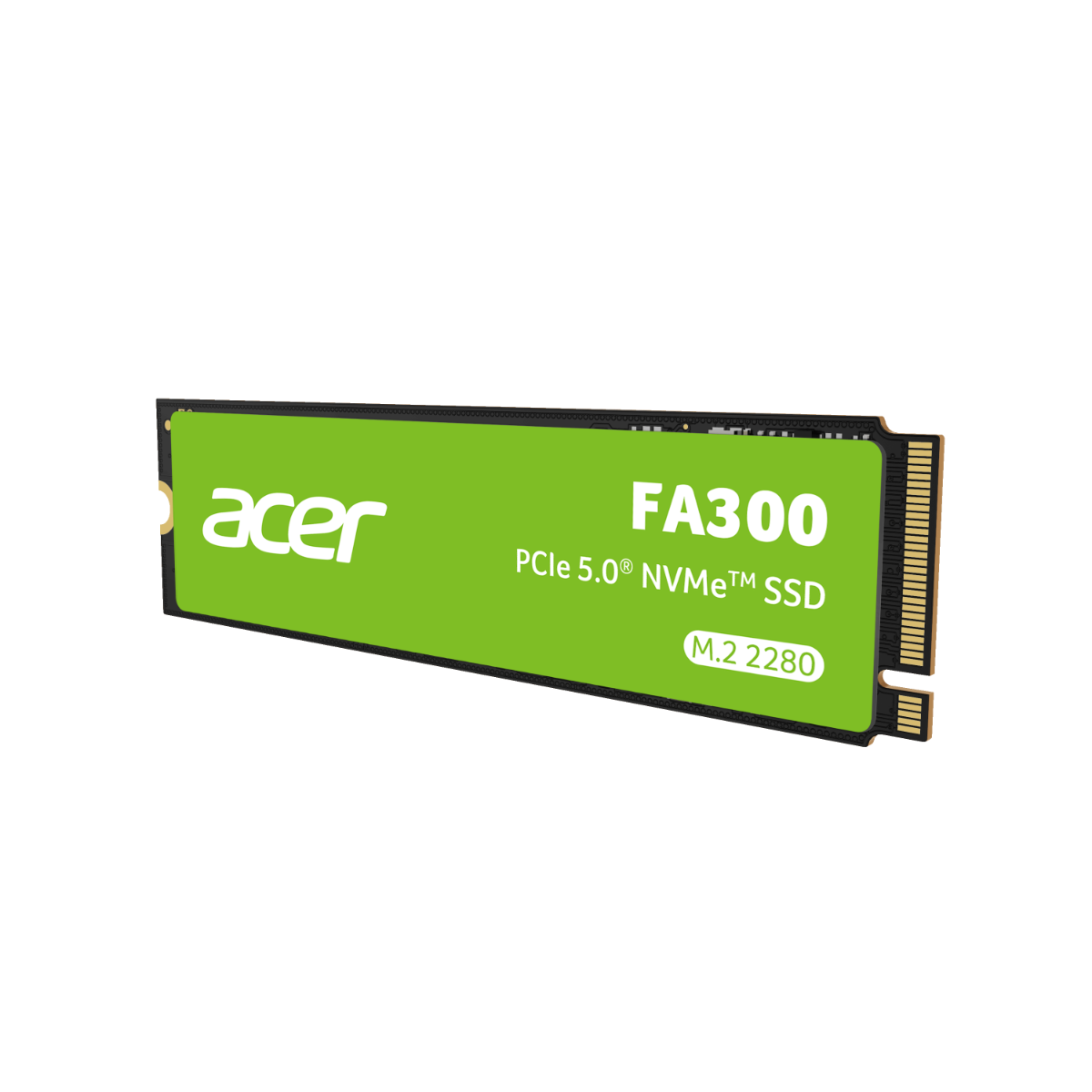 Acer FA300 Gen5 SSD - 1TB